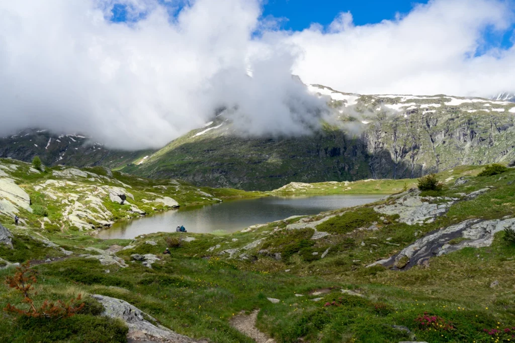 A propos Cerveau-et-communication - montagne - nature - les alpes - l'air