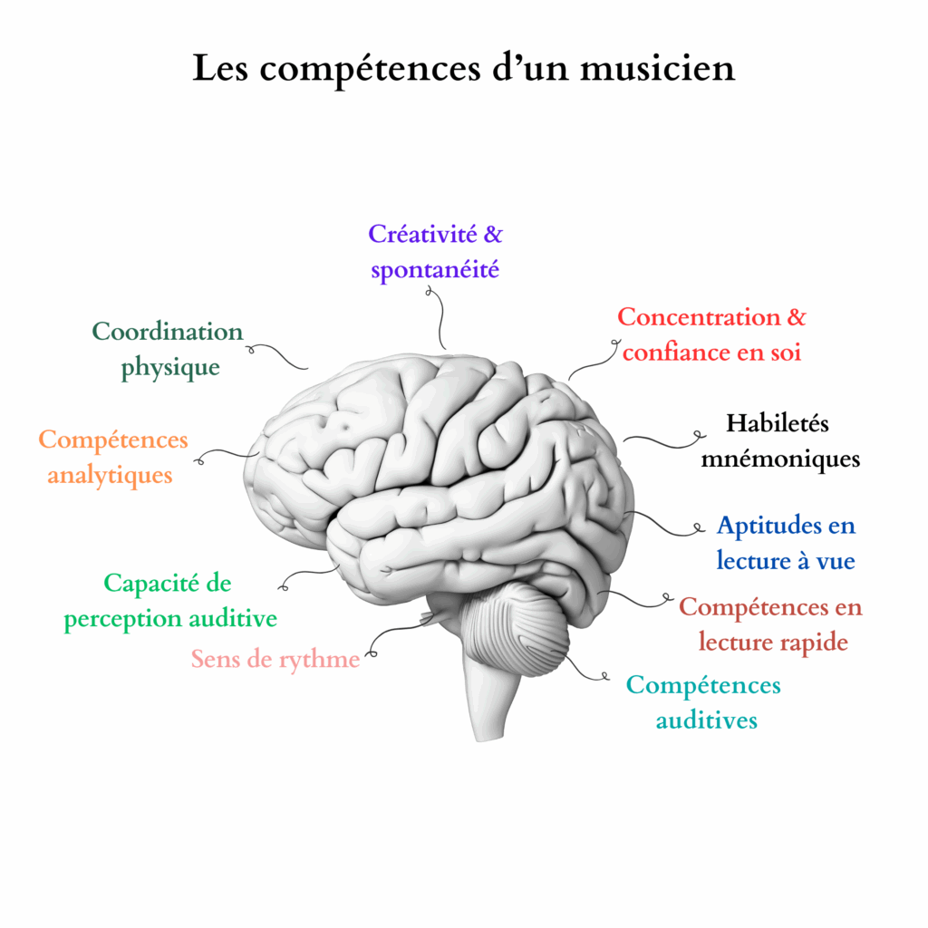 cerveau musique compétences cognition capacités intelligence 